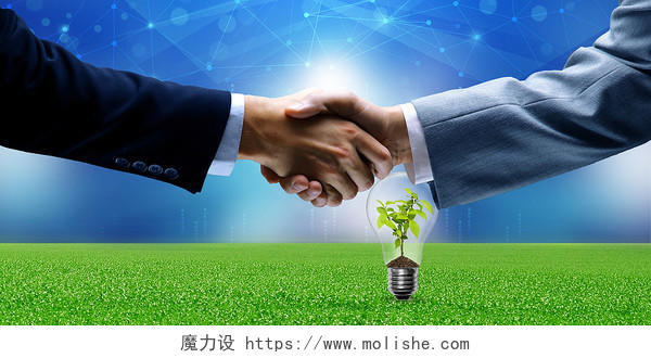 蓝色绿色科技生态发展合作握手灯泡植物发芽草坪商务背景